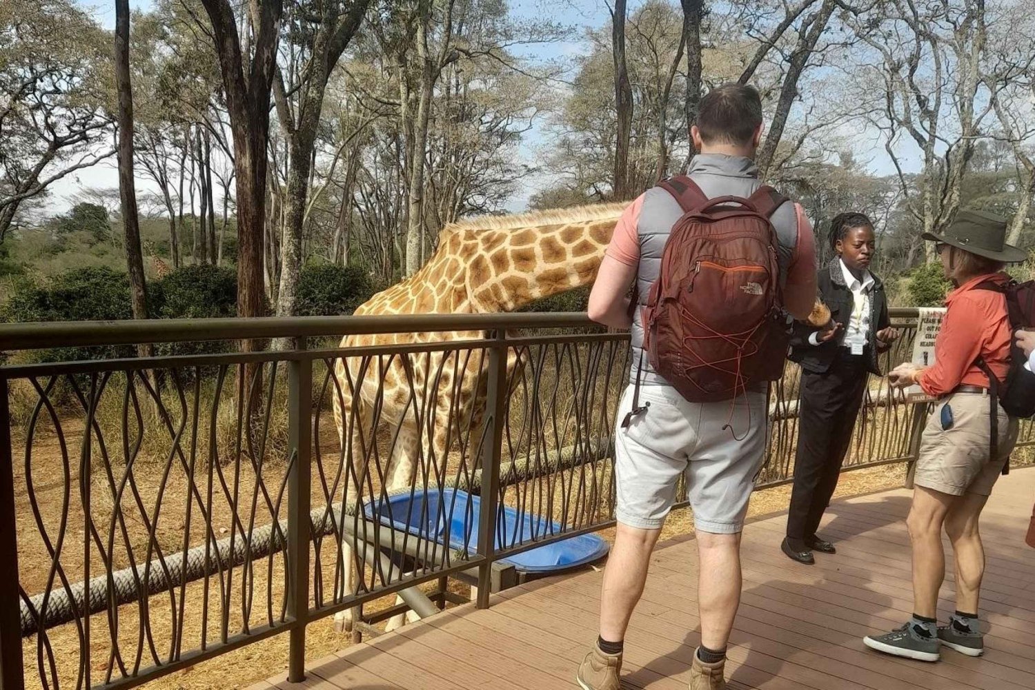 Orfanato de elefantes, centro de girafas, passeio com contas de kobe