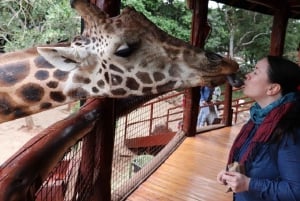 Nairobi: orfanato de elefantes, centro de jirafas, tour de cuentas de kobe
