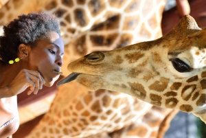 Excursão ao Orfanato de Elefantes e ao Centro de Girafas com opções