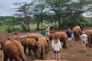 Olifantenweeshuis, Giraffee Centrum, Karen Blixxen Meseum