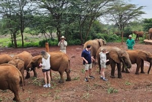 Olifantenweeshuis, Giraffee Centrum, Karen Blixxen Meseum