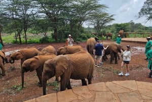 Olifantenweeshuis, Giraffee Centrum, Karen Blixxen Meseum