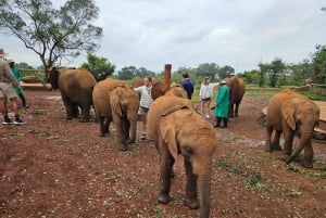 Olifantenweeshuis, Giraffee Centrum, Karen Blixxen Meseum