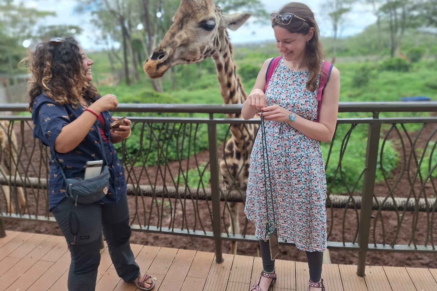 Elephant Sanctuary & Giraffe Center -päiväretki ilmaisella kuljetuksella
