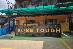 Elephant Sanctuary & Giraffe Center -päiväretki ilmaisella kuljetuksella