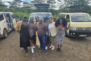 Elephant Sanctuary & Giraffe Center -päiväretki ilmaisella kuljetuksella