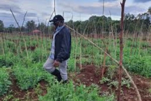 Embu County: Mbeere Community Tour with Cooking Class