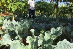 Embu County: Mbeere Community Tour with Cooking Class