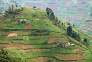 Embu County: Mbeere Community Tour with Cooking Class