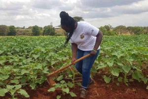 Embu County: Mbeere Community Tour with Cooking Class