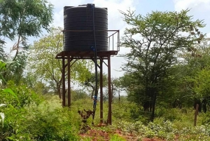 Embu: Muguka Farm Tour with Tea Tasting and Snacks