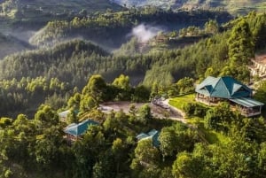 Entebbe : 9 jours de trek avec les gorilles en Ouganda et safari en Tanzanie