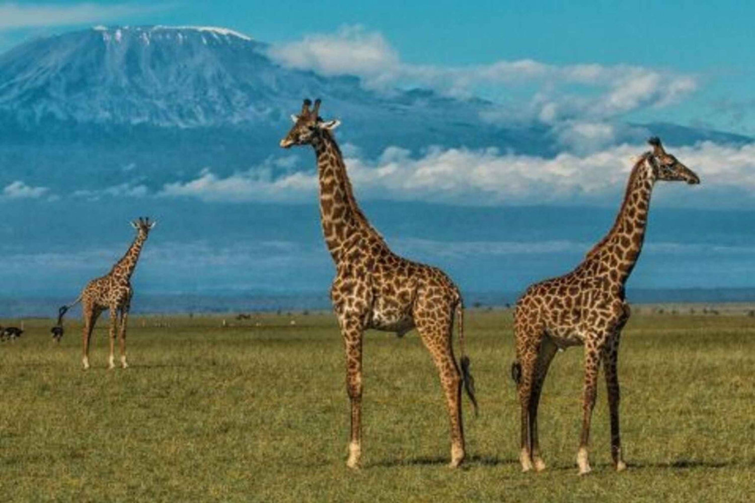 Epicki Park Narodowy Amboseli i wioska Masajów