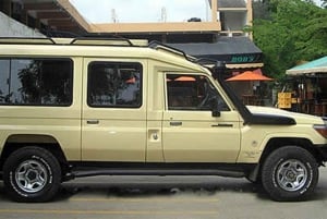 Executive Nairobi Airport One-Way Transfer