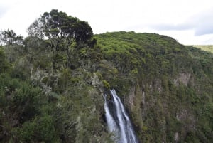 Entdecke Aberdare: Big 5, Wasserfälle und Camping in der Wildnis