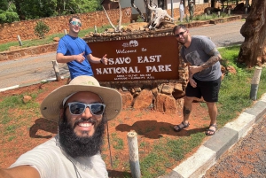 Explora a beleza selvagem de Tsavo East.