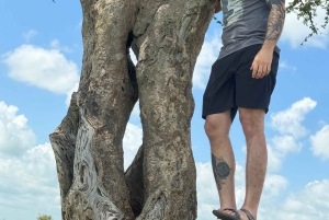 Explora a beleza selvagem de Tsavo East.