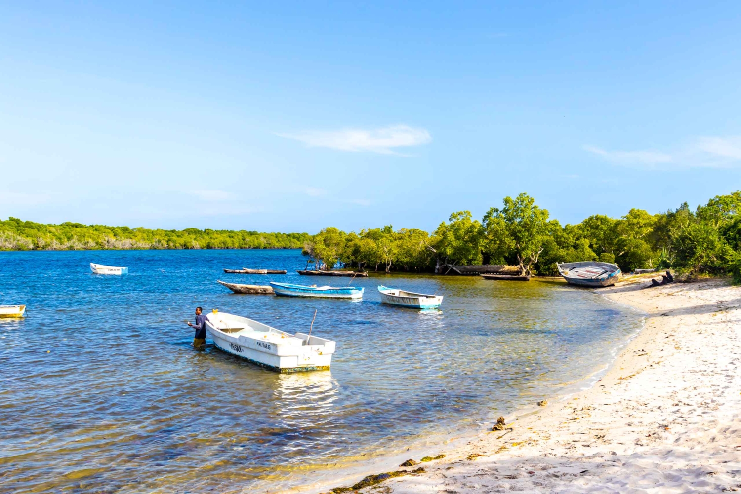 Het verkennen van de schatten van de natuur: een privédagtocht in Diani