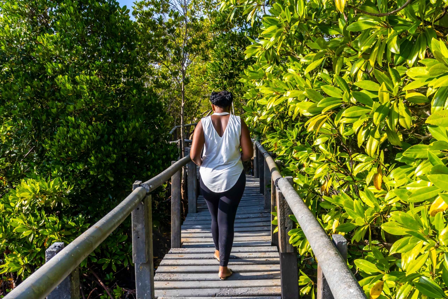 Het verkennen van de schatten van de natuur: een privédagtocht in Diani