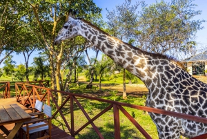 Exploring Nature's Treasures: A Private Day Trip in Diani