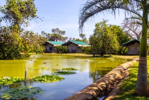 Het verkennen van de schatten van de natuur: een privédagtocht in Diani