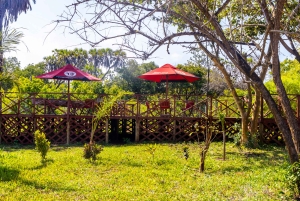 Het verkennen van de schatten van de natuur: een privédagtocht in Diani