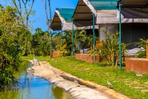 Het verkennen van de schatten van de natuur: een privédagtocht in Diani