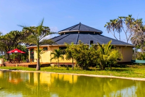 Het verkennen van de schatten van de natuur: een privédagtocht in Diani