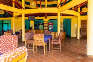 Het verkennen van de schatten van de natuur: een privédagtocht in Diani