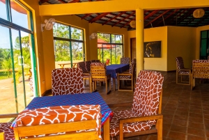 Het verkennen van de schatten van de natuur: een privédagtocht in Diani