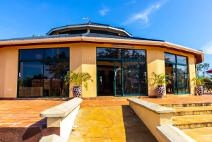 Het verkennen van de schatten van de natuur: een privédagtocht in Diani