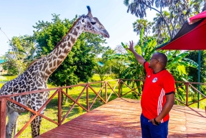 Het verkennen van de schatten van de natuur: een privédagtocht in Diani