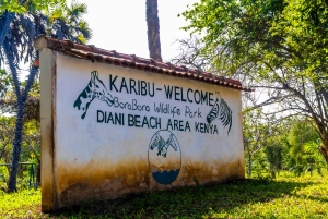 Het verkennen van de schatten van de natuur: een privédagtocht in Diani