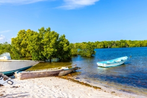 Het verkennen van de schatten van de natuur: een privédagtocht in Diani