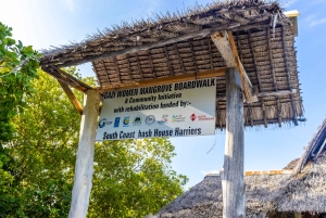 Het verkennen van de schatten van de natuur: een privédagtocht in Diani