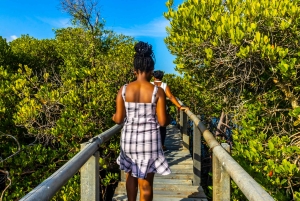 Het verkennen van de schatten van de natuur: een privédagtocht in Diani