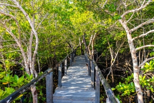 Het verkennen van de schatten van de natuur: een privédagtocht in Diani