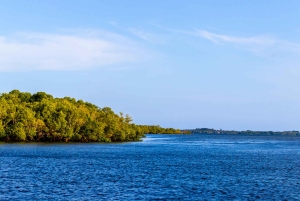 Het verkennen van de schatten van de natuur: een privédagtocht in Diani