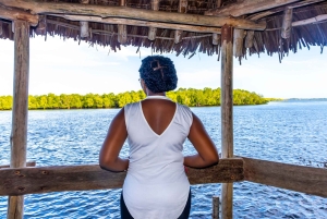 Het verkennen van de schatten van de natuur: een privédagtocht in Diani