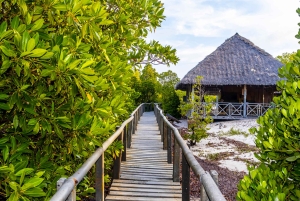 Het verkennen van de schatten van de natuur: een privédagtocht in Diani