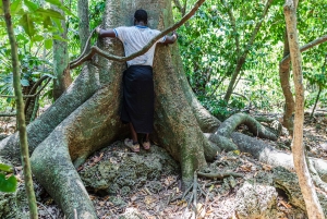 Het verkennen van de schatten van de natuur: een privédagtocht in Diani