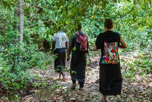 Het verkennen van de schatten van de natuur: een privédagtocht in Diani