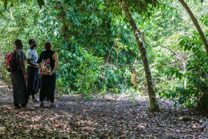 Het verkennen van de schatten van de natuur: een privédagtocht in Diani
