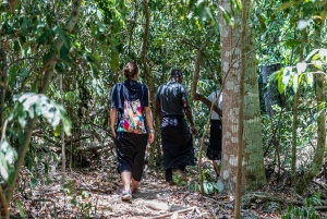 Het verkennen van de schatten van de natuur: een privédagtocht in Diani