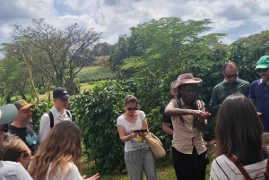 Tur til Fairview Coffee Estate fra Nairobi