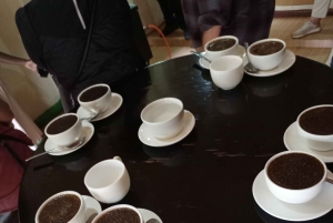 FAIRVIEW COFFEE FARM DAY TOUR