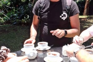 FAIRVIEW COFFEE FARM DAY TOUR