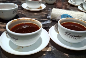 FAIRVIEW COFFEE FARM DAY TOUR
