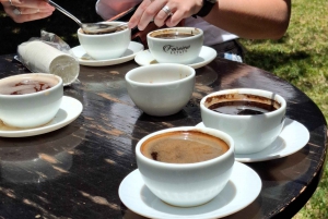 FAIRVIEW COFFEE FARM DAY TOUR