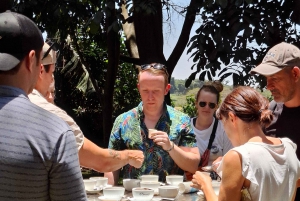 FAIRVIEW COFFEE FARM DAY TOUR